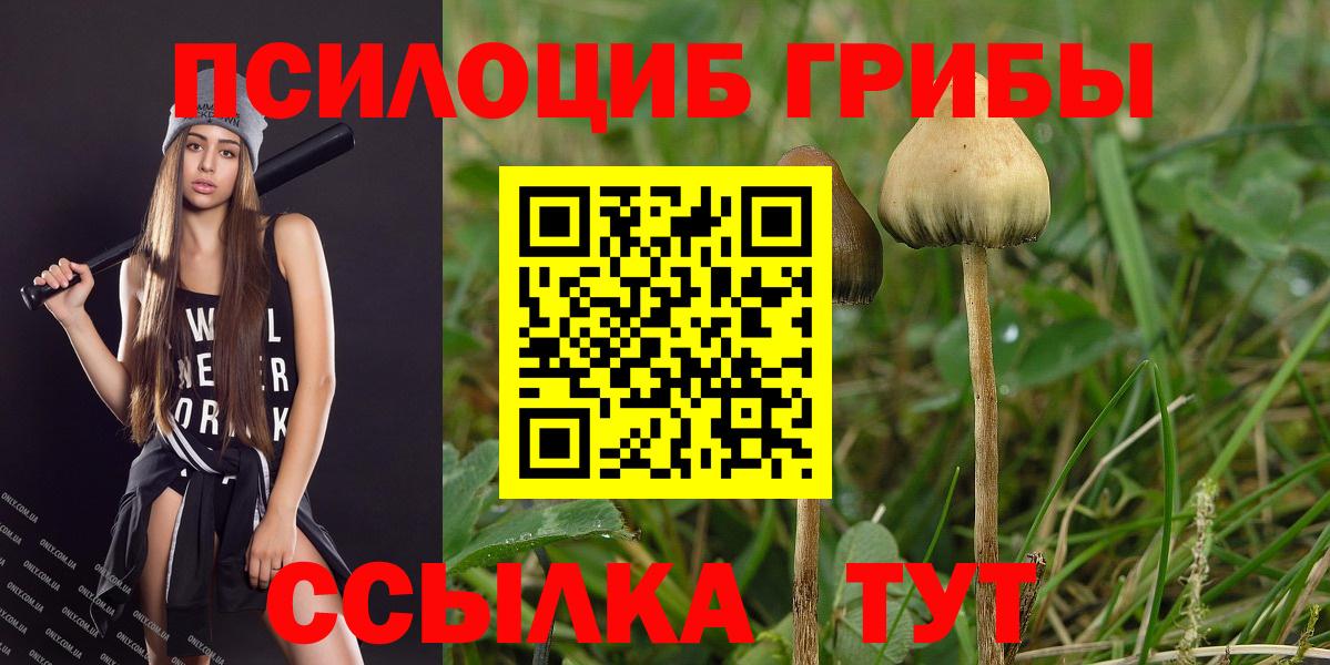 Псилоцибиновые грибы прущие грибы  Галлюциногенные грибы ЛСД  Усть-Кут  Вход с VPN 