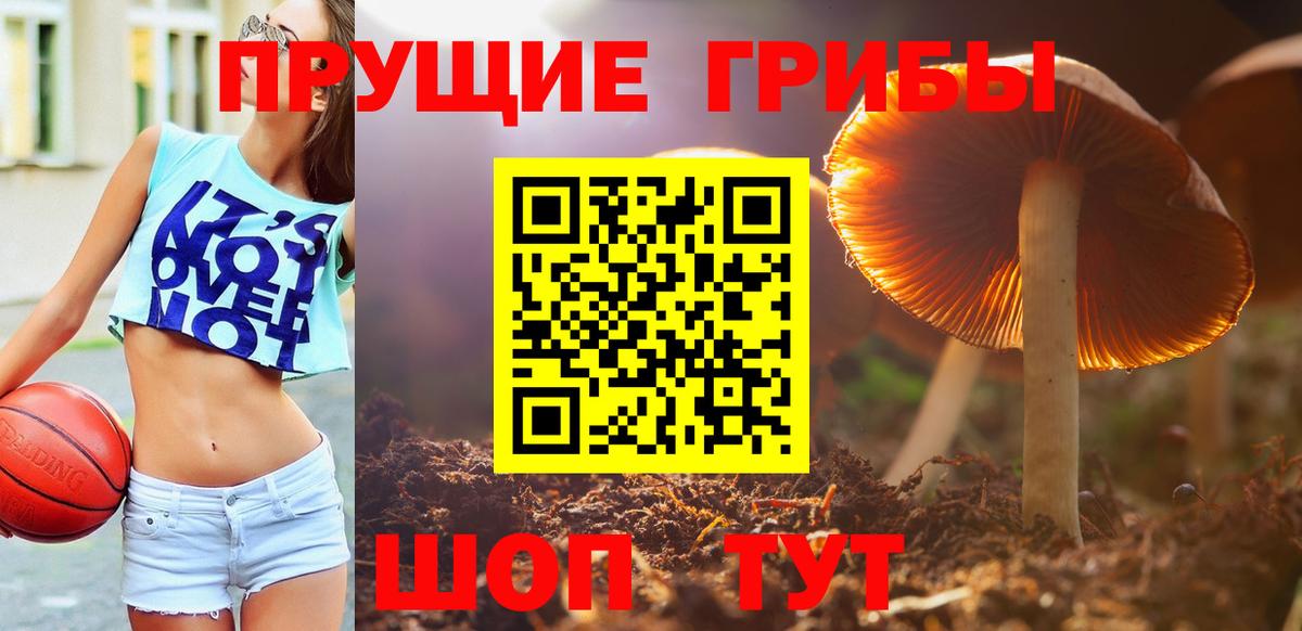 Галлюциногенные грибы Psilocybe Усть-Кут